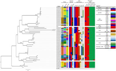 Whole genome analysis and antimicrobial resistance of Neisseria gonorrhoeae isolates from Ghana